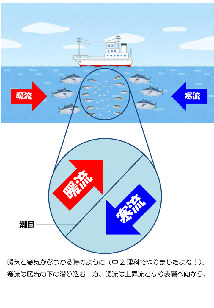 日常を学びに 学習塾トーゼミグループ 坂戸校 学習塾トーゼミ 埼玉県西部 南部 川越 鶴ヶ島 坂戸 朝霞 東松山 ふじみ野 入間 さいたま